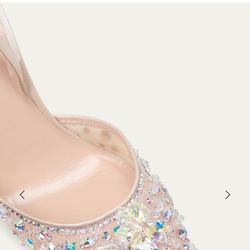 Rene Caviolla Elegant Crystal Embellished Women's Shoes